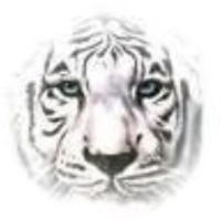 White Tiger Creations