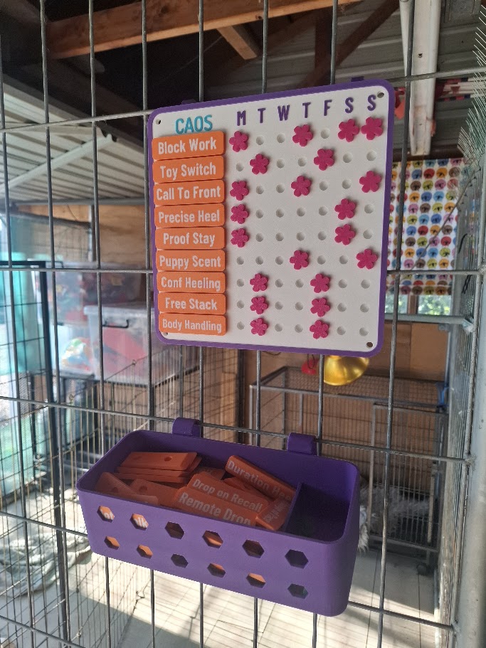 Dog Training Planner